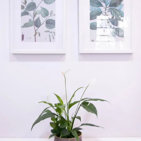 Viveros By Concept Flats * バレンシア